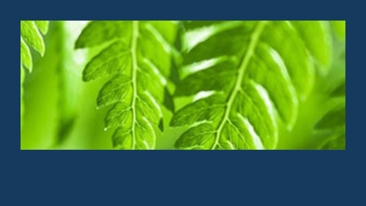 A new era of industrial facility environmental management | Tony Kortegast & Richard Campbell Friday July 23, 2021