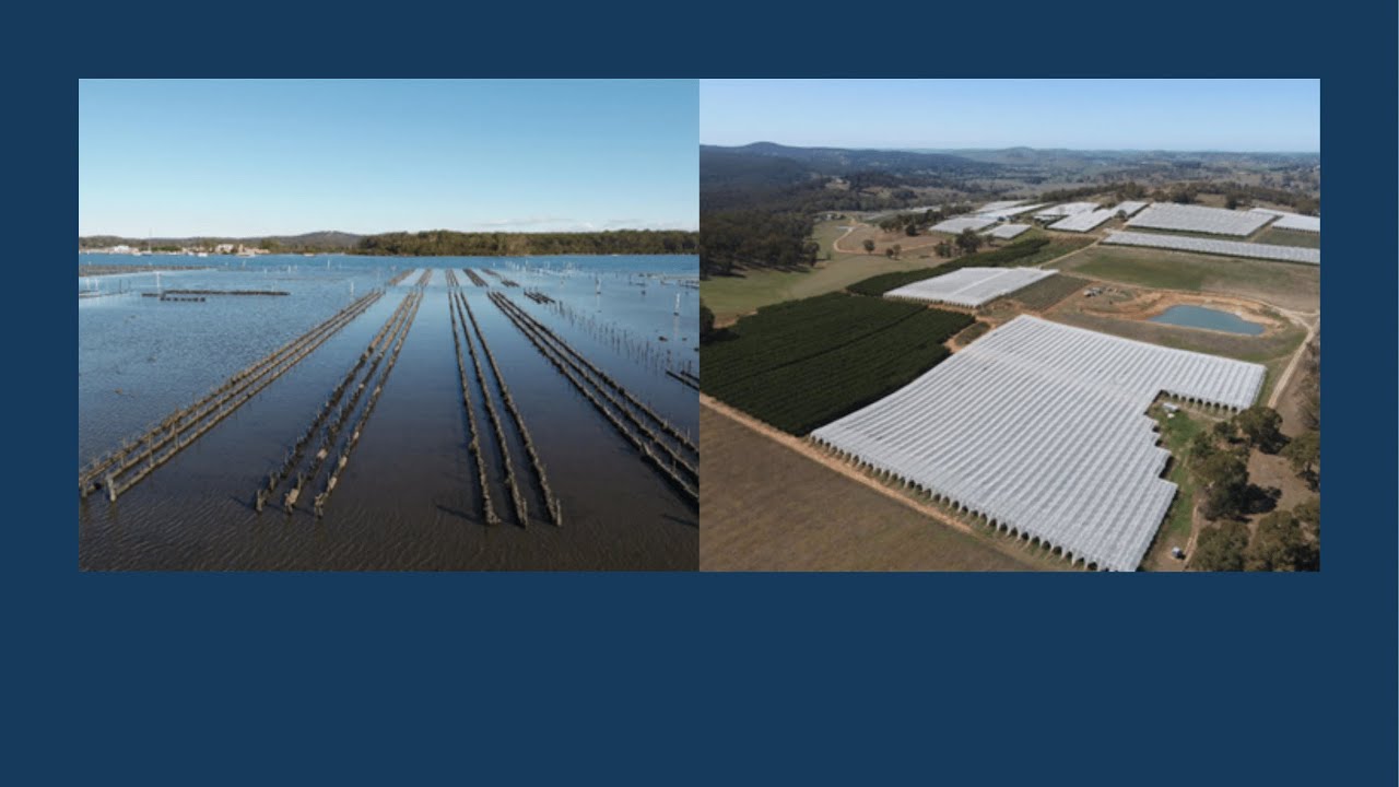 Improving Agricultural Productivity with Technology | Scott McKinnon & Richard Campbell Friday October 15, 2021