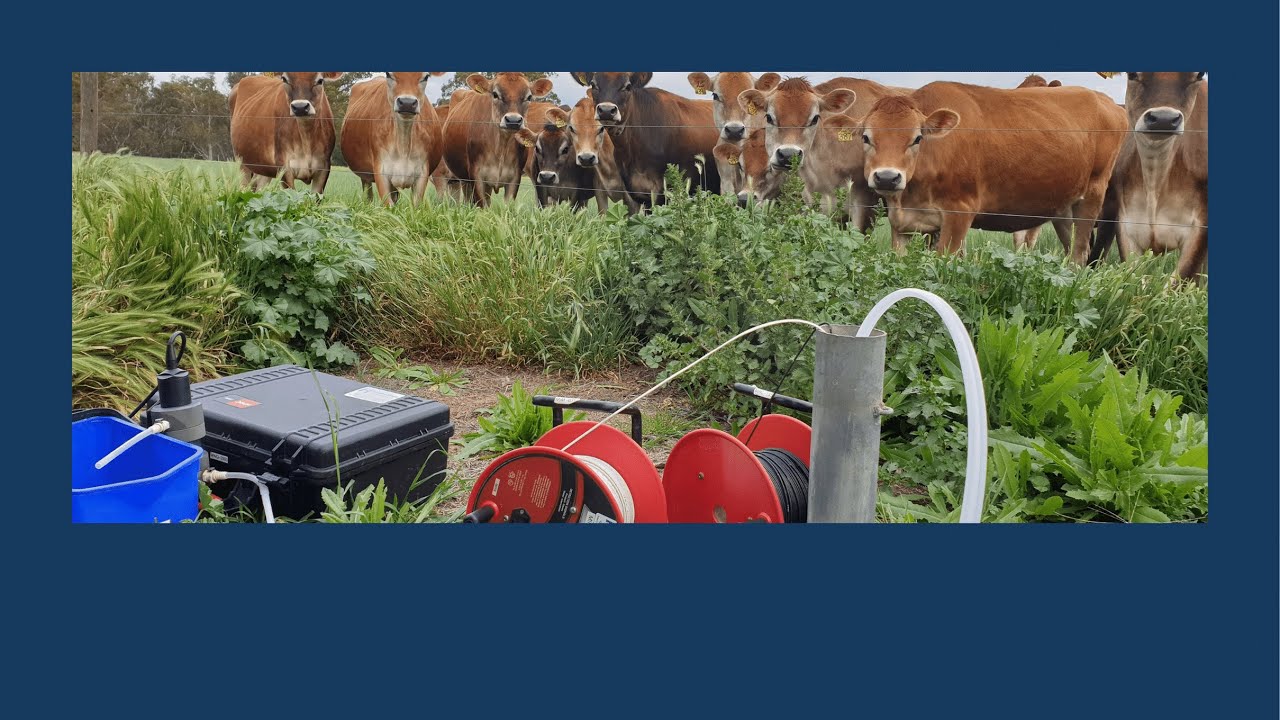 Low flow groundwater sampling Friday March 12, 2021