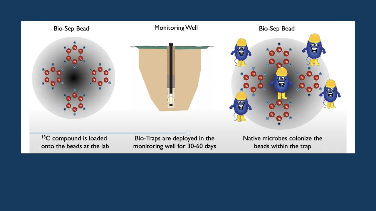 Selecting Molecular Biological Tool for Assessment of InSitu Contaminant Degradation Friday September 18, 2020