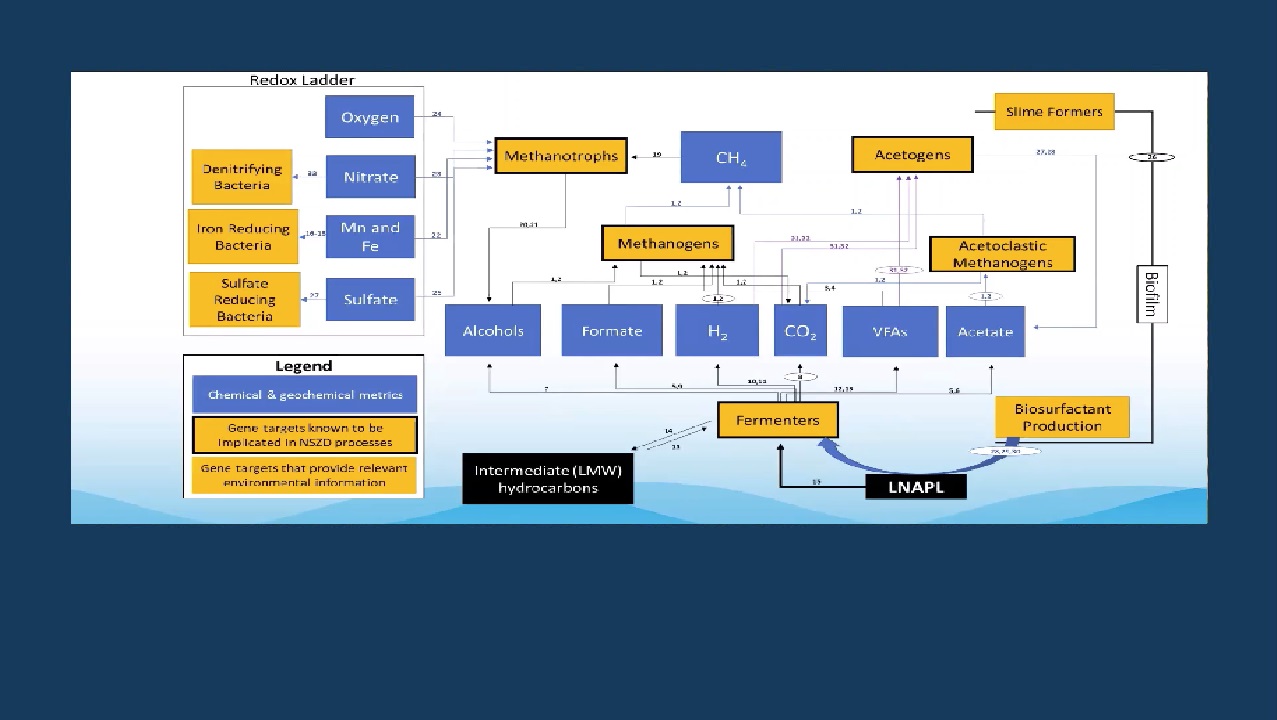 Microbial monitoring for groundwater remediation and enhanced site management | Sam Rosolina & Richard Campbell