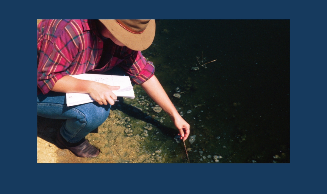 Further developments of the L/N ratio after almost 30 years of use