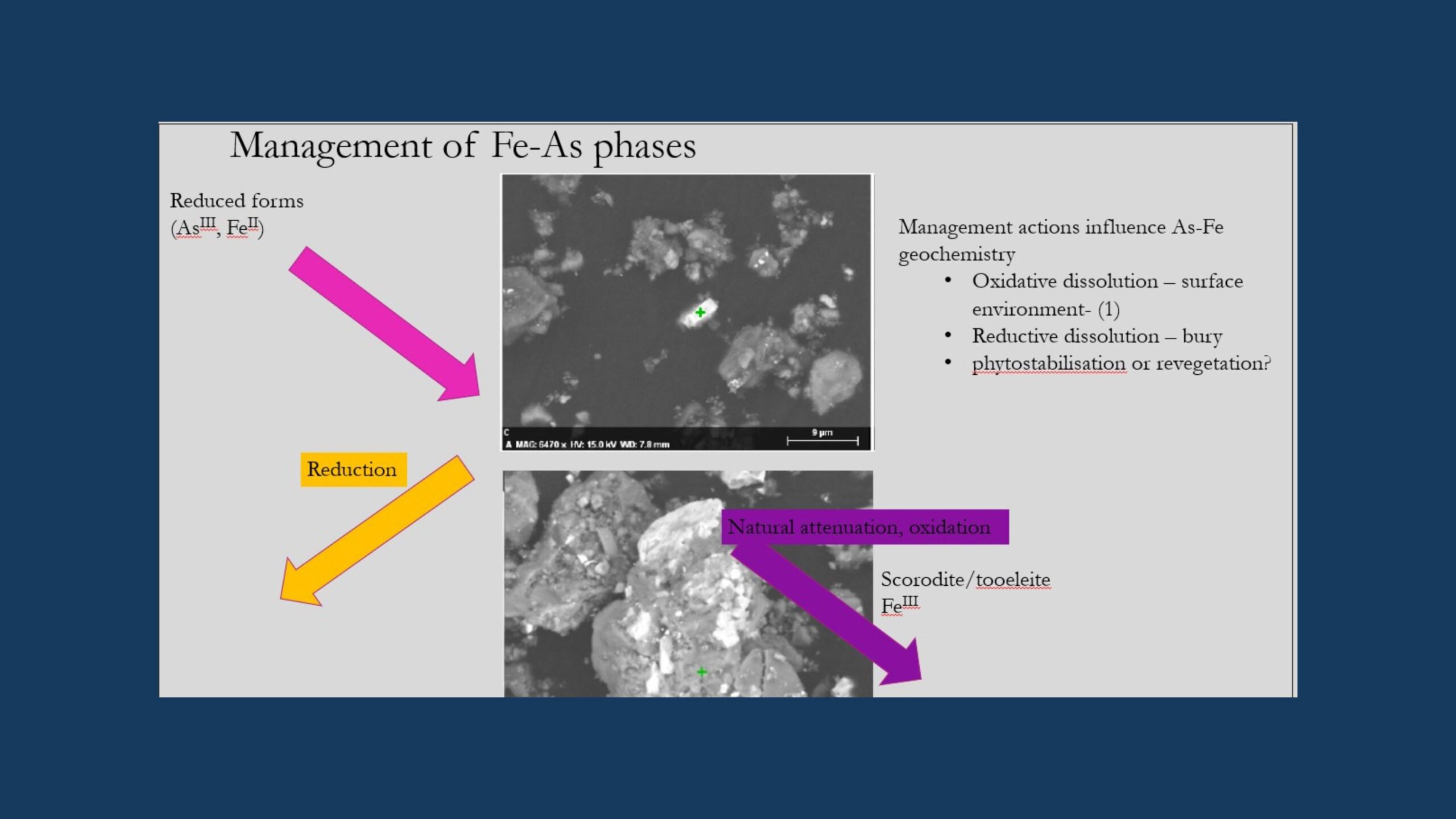 Managing arsenic in post-mining environments – getting our rehabilitation right