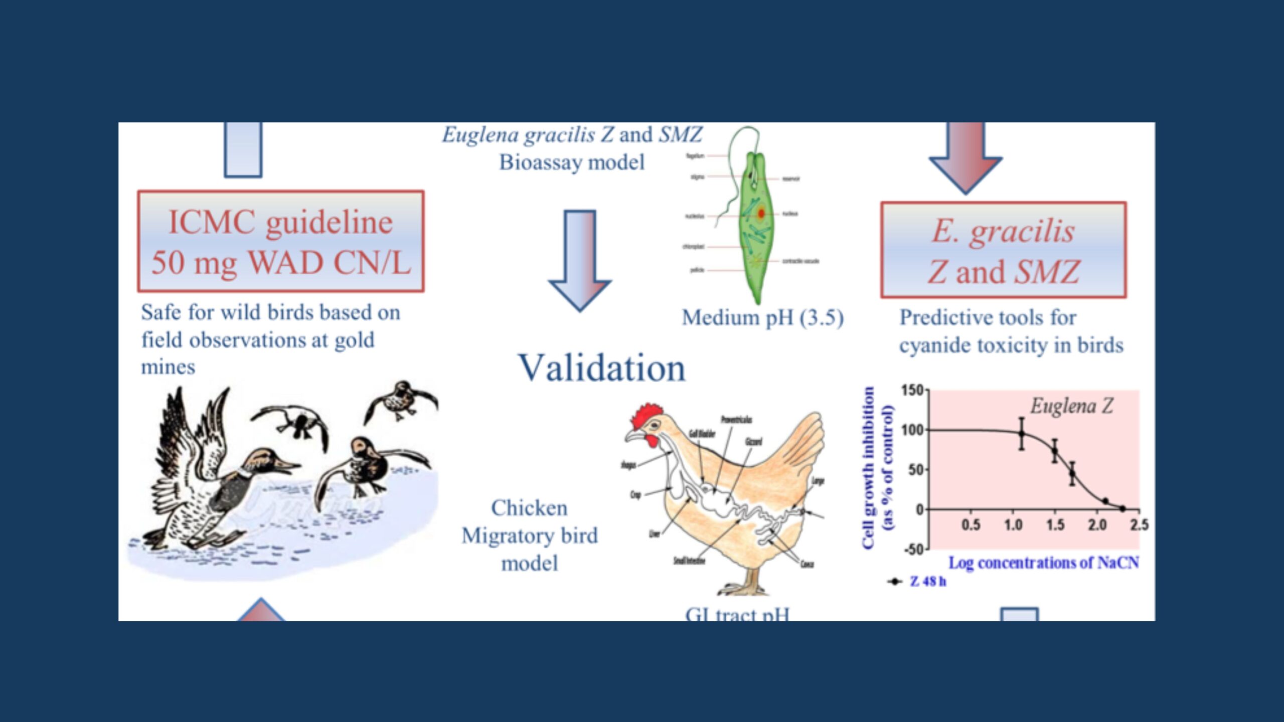 Exploring and understanding the toxicity of inorganic and organic contaminants