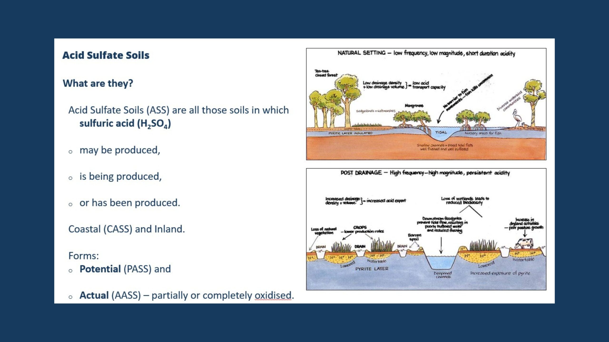They’re not all bad: Acid Sulfate Soil – measurement and management