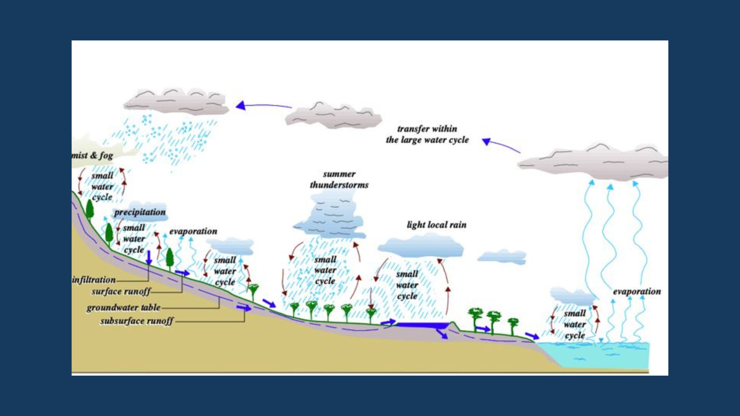 Managing water use efficiency on farms by managing the small water cycle | Phil Mulvey & Richard Campbell