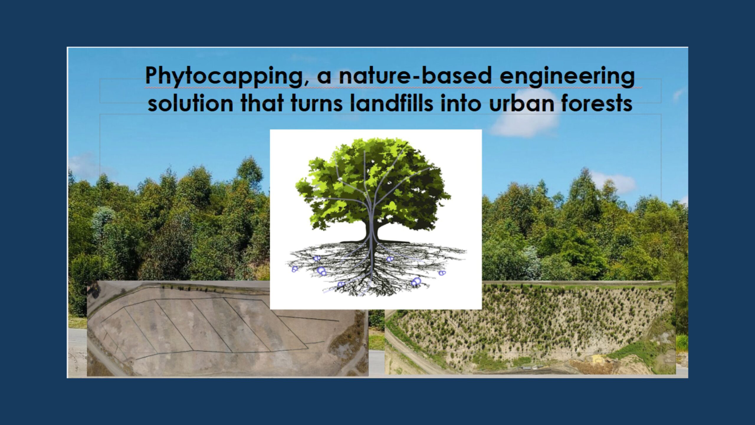 Ecological rehabilitation of landfills using phytocapping​