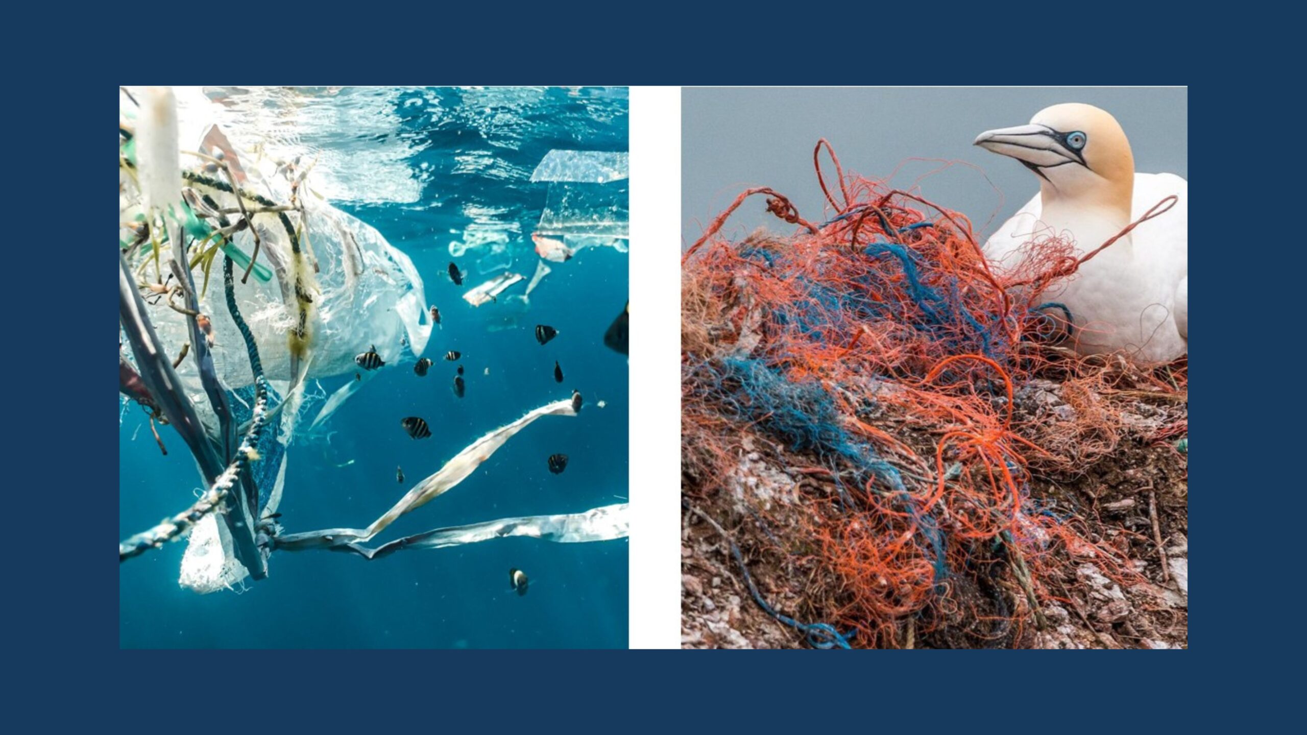 Microplastics in soil need more attention! But why? | Suzie Reichman & Richard Campbell